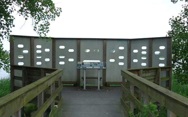 Wooden viewing platform with cutouts under an overcast sky.