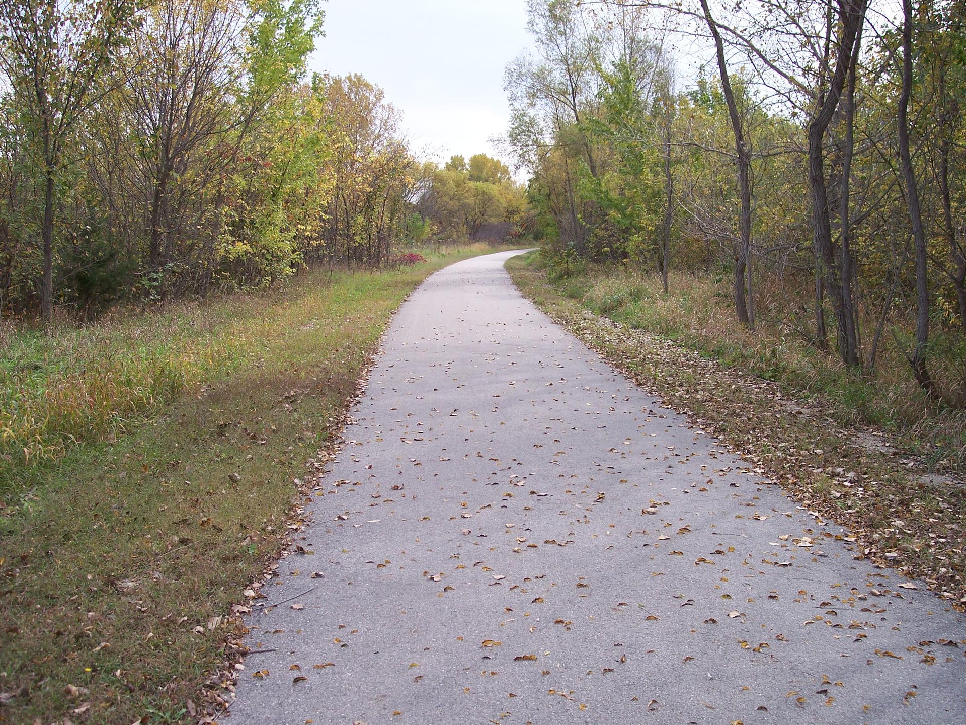 A paved path covered in fallen leaves winds through a sparse autumn forest.