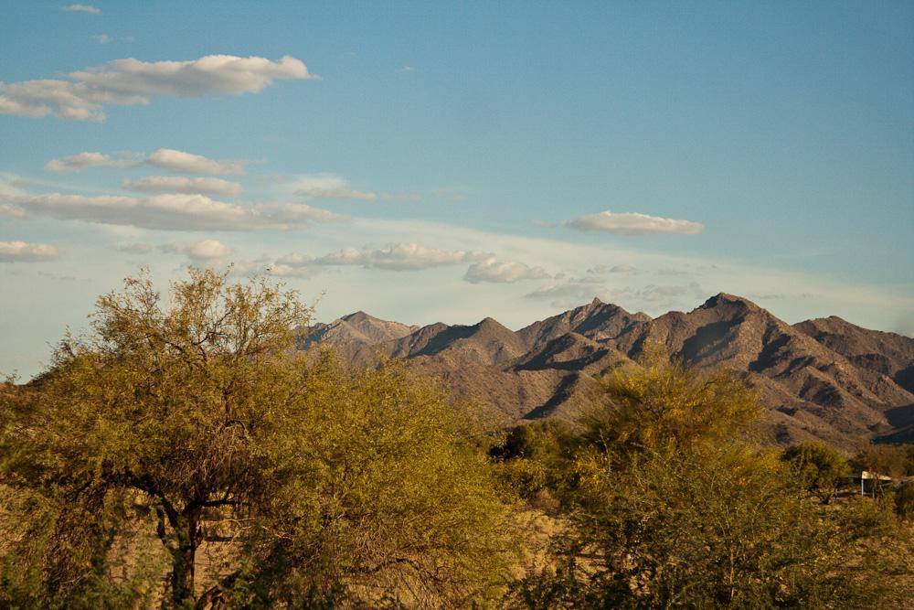 Arid mountains under a blue sky, with green desert trees in the foreground.