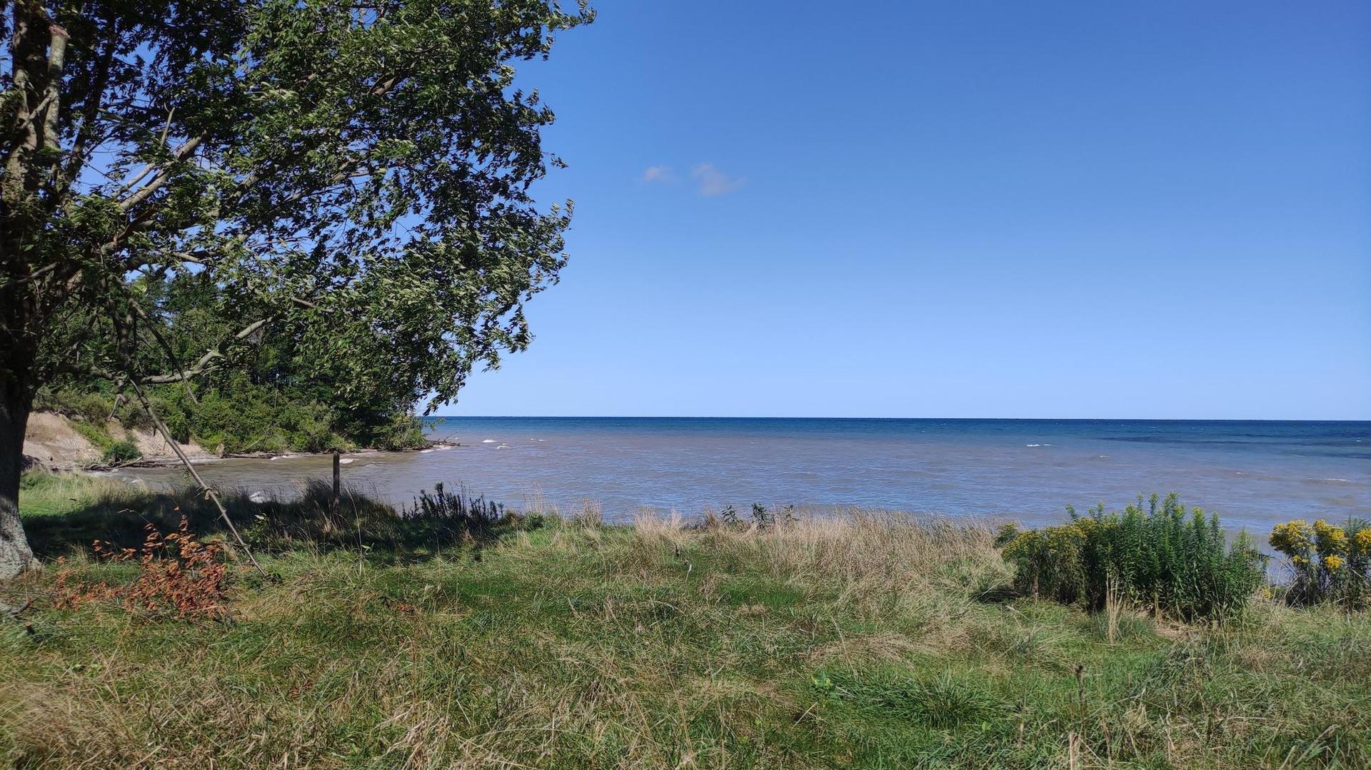 A large tree shades grassy shoreline next to a calm, wide body of water.
