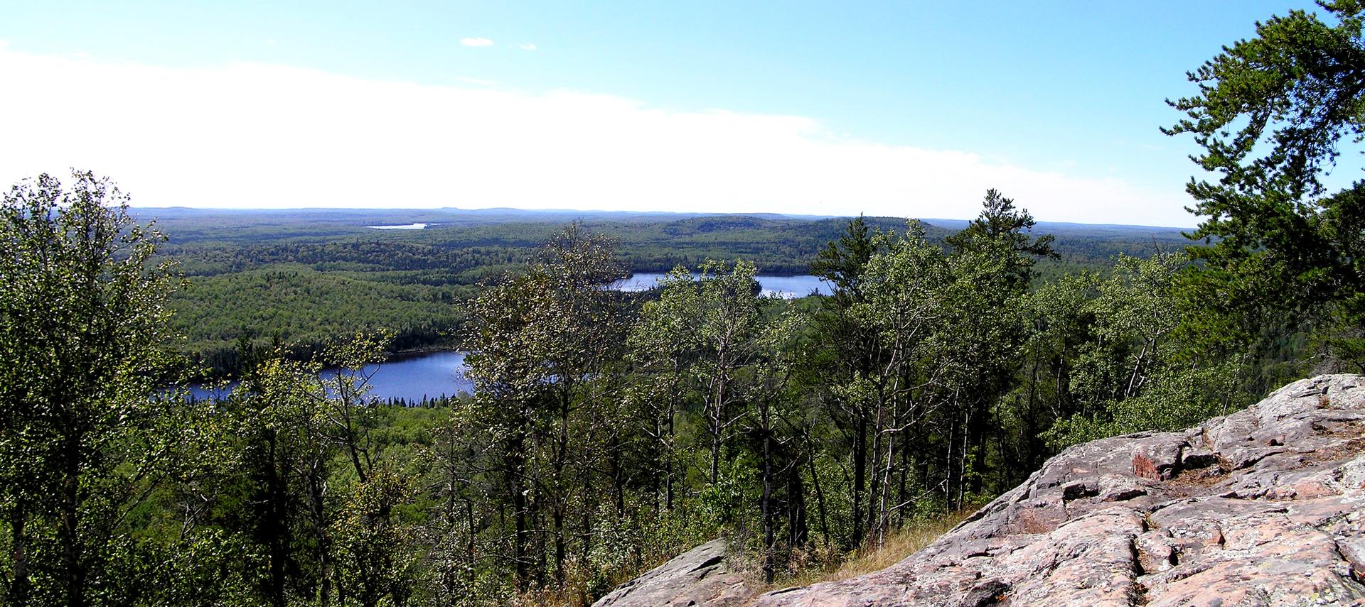 Panoramic view of multiple lakes nestled within a vast green forest.