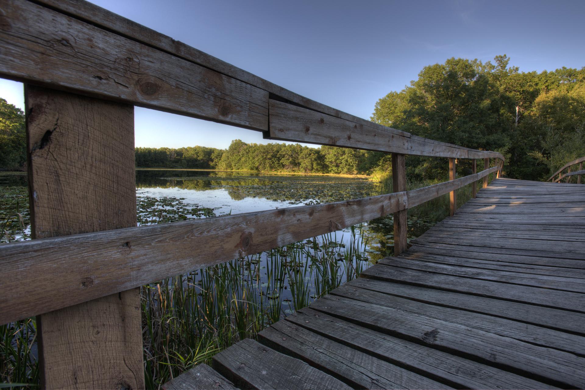 Wooden boardwalk railing overlooking a lake with lily pads and lush trees.