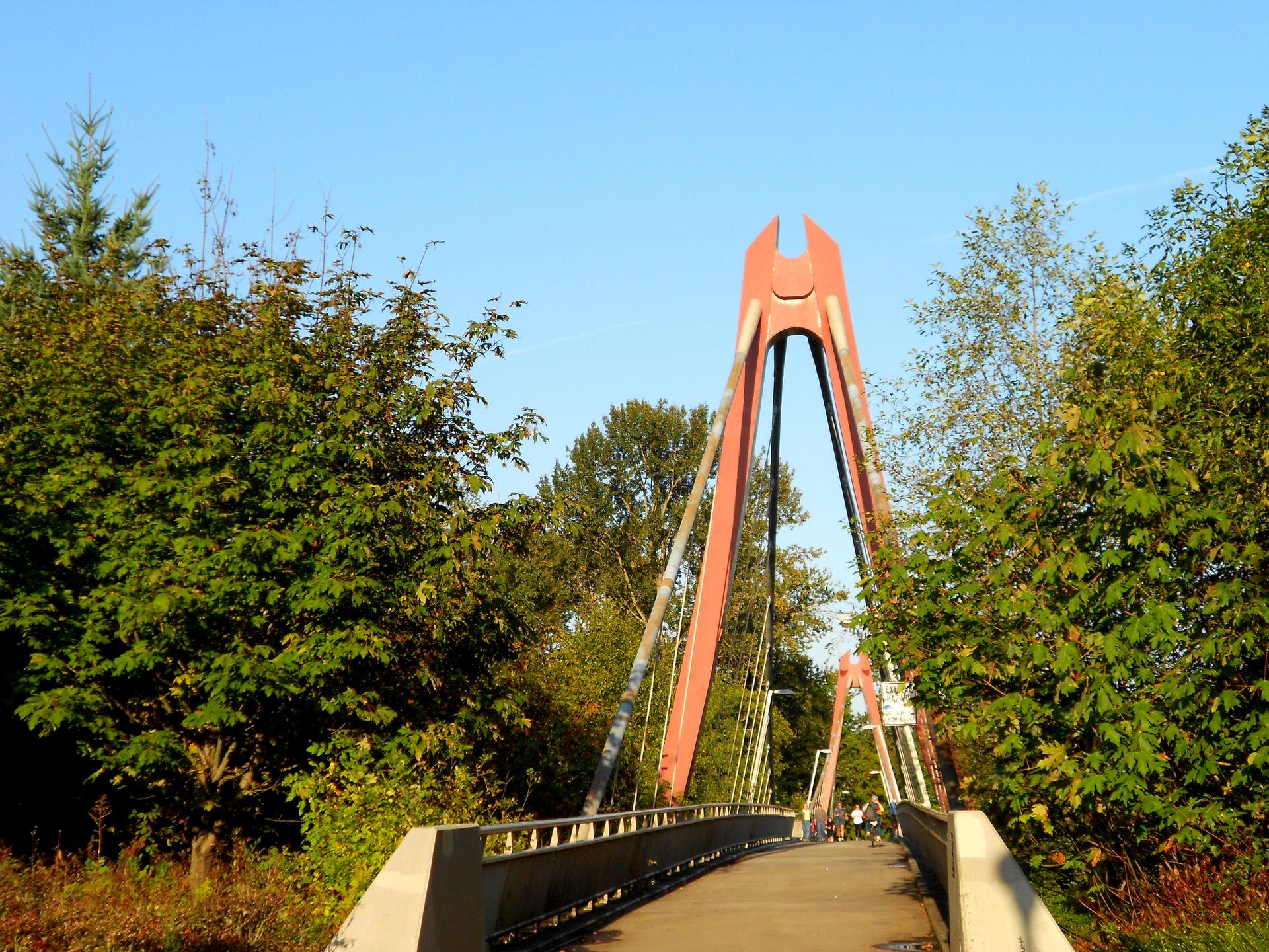 Red arch pedestrian bridge surrounded by green trees under a clear blue sky.