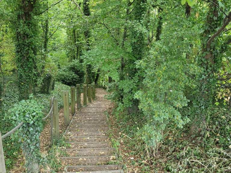 Boucle de Kirk Smeaton à Brockadale Nature Reserve — Parc national du ...