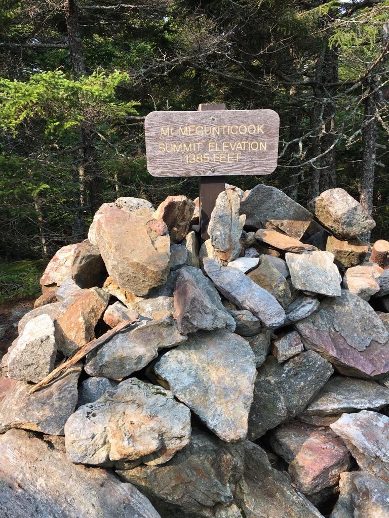 A wooden summit sign on a rock cairn in a sunlit forest.