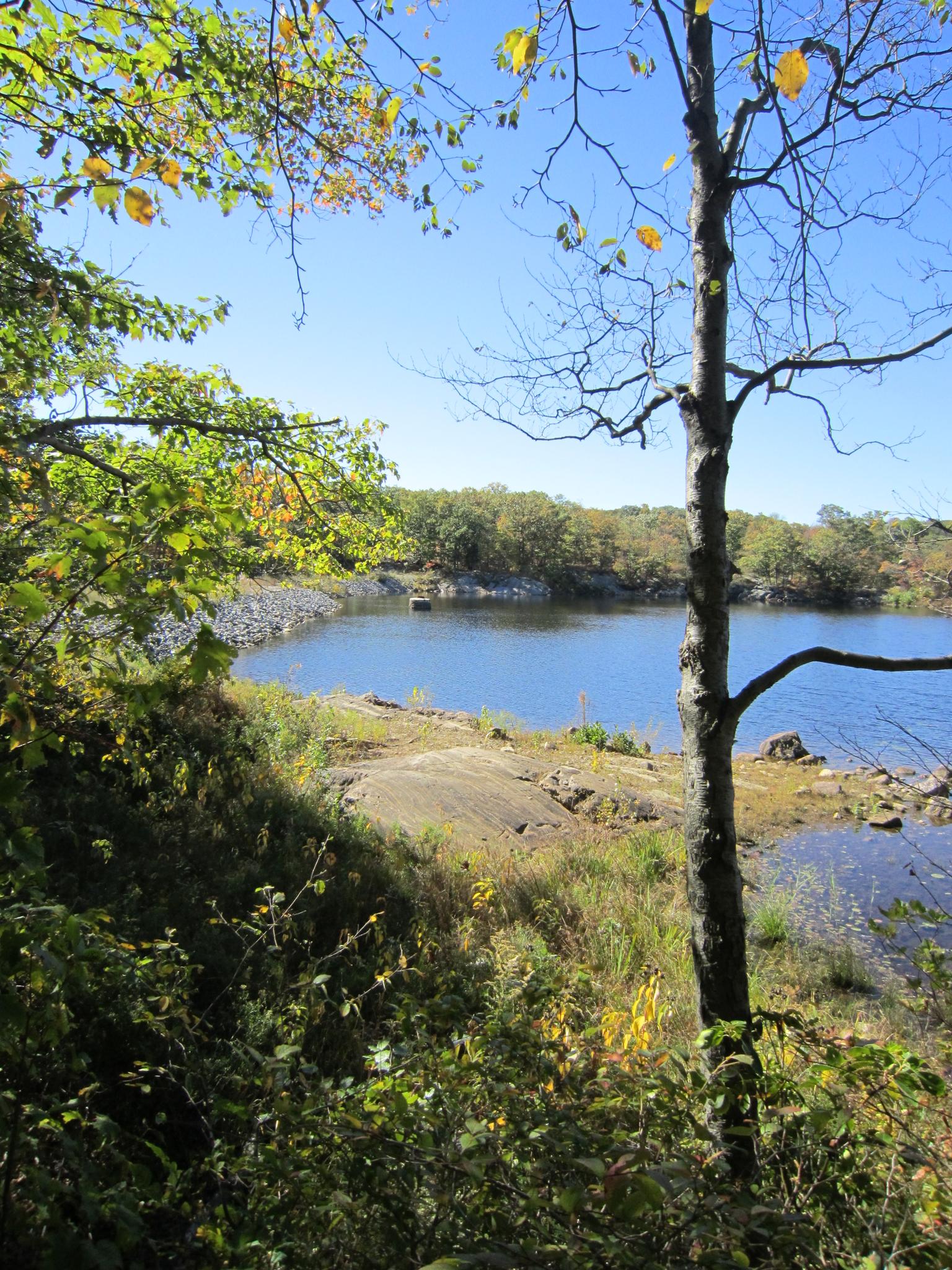 Clear blue lake surrounded by rocky shores and green trees on a sunny day.