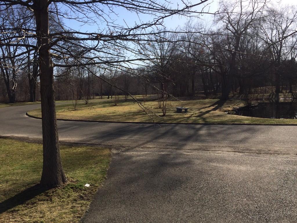 Paved road curves through a park with bare trees under bright sun.