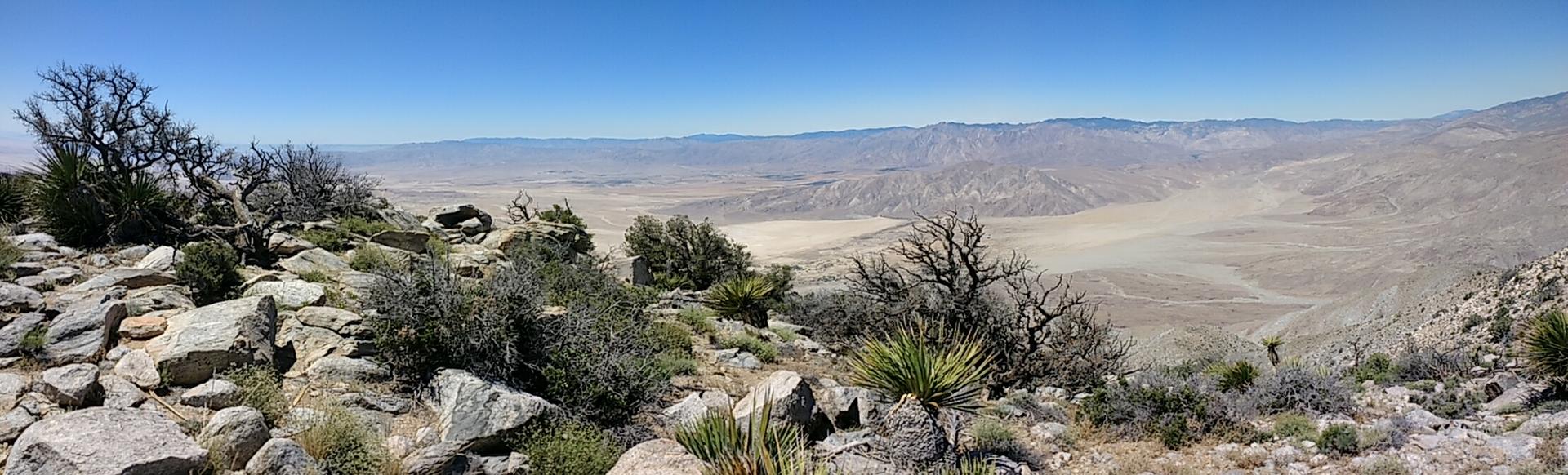 Panoramic view of a rocky desert with sparse plants and a vast dry valley.