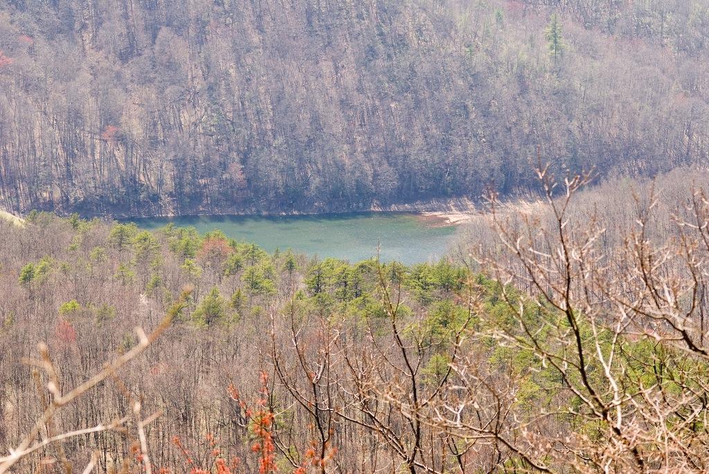 Aerial view of a lake surrounded by dense, bare winter trees on hills.