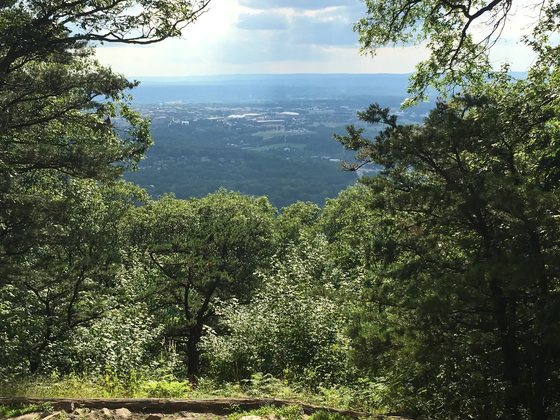 Lush green forest frames a panoramic view of a distant valley and town.