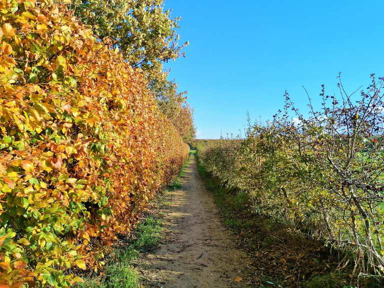 Hill 60 – Kanaal Ieper-Komen loop from Ieper | bike Tour | Komoot