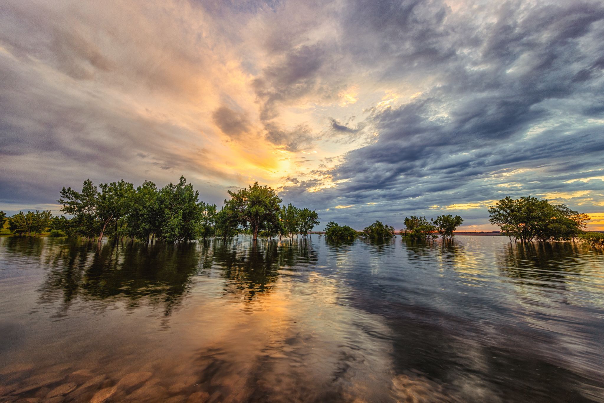 Water reflecting a vibrant sunset sky with trees emerging from the water. - Start of the Colorado Trail – Wetlands View loop from Sky Ridge