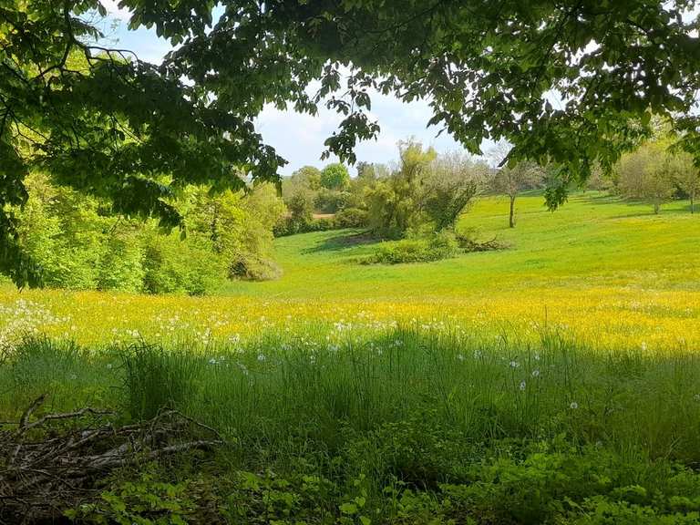 Château de Prény et les côtes de Moselle - boucle depuis Prény dans le ...