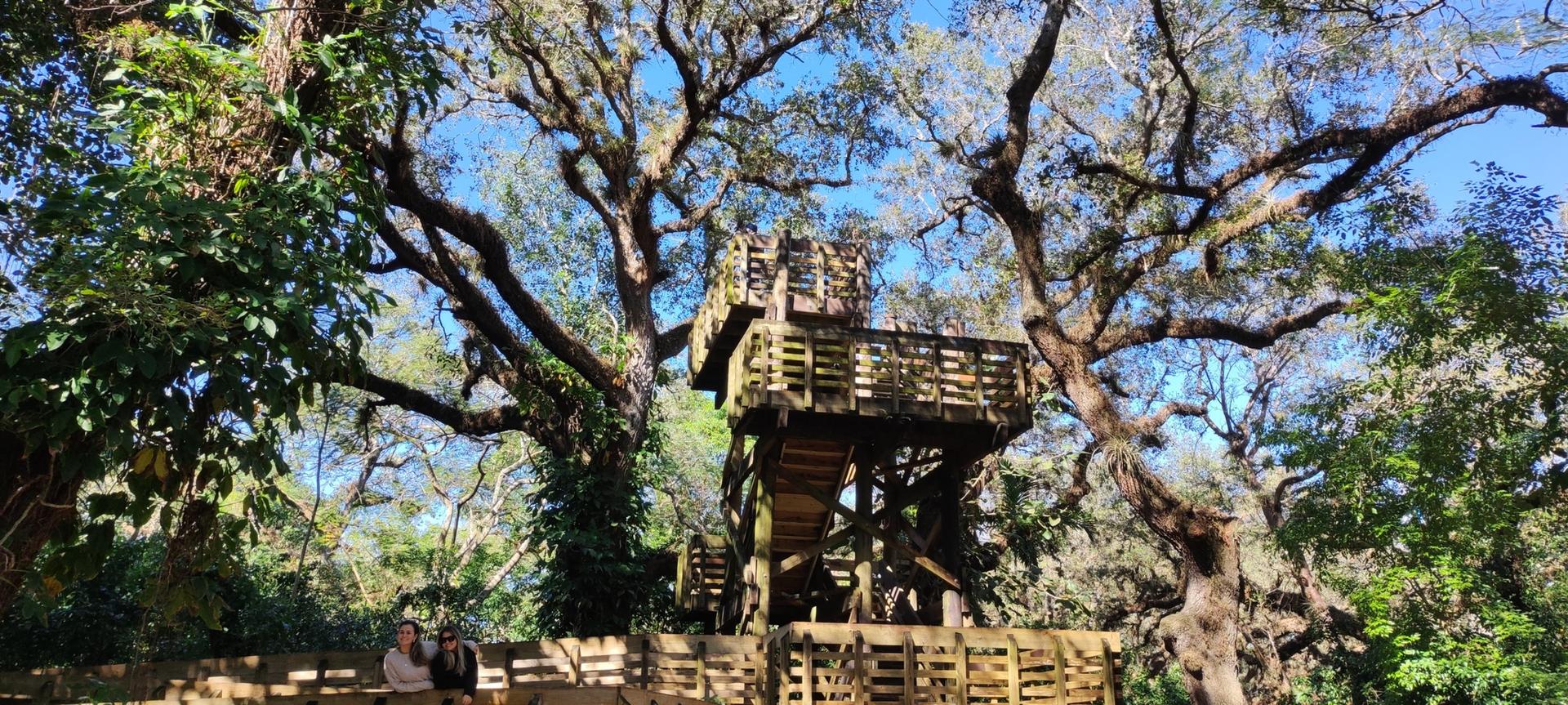 A tall wooden observation tower stands among large trees, two people below.
