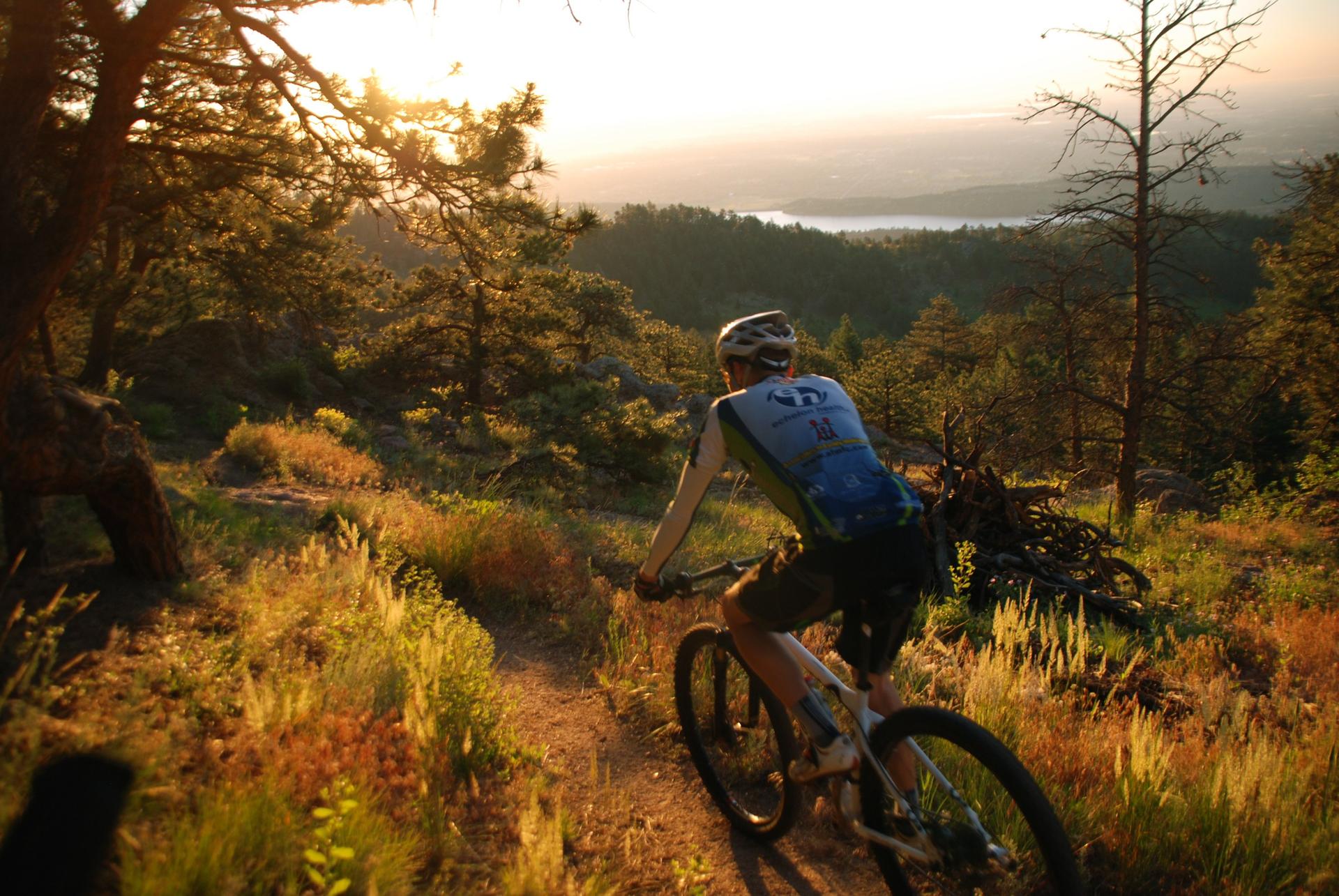 Mountain biker on a dirt trail through sunlit woods at sunset.