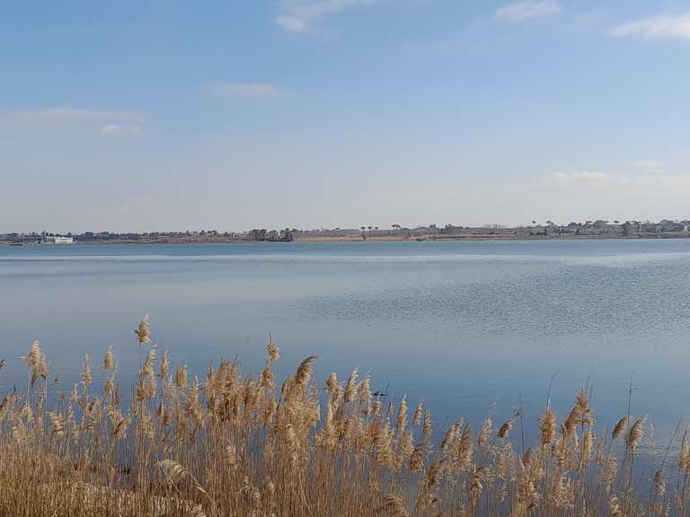 La Riserva Naturale Foce del Volturno e Costa di Licola giro ad