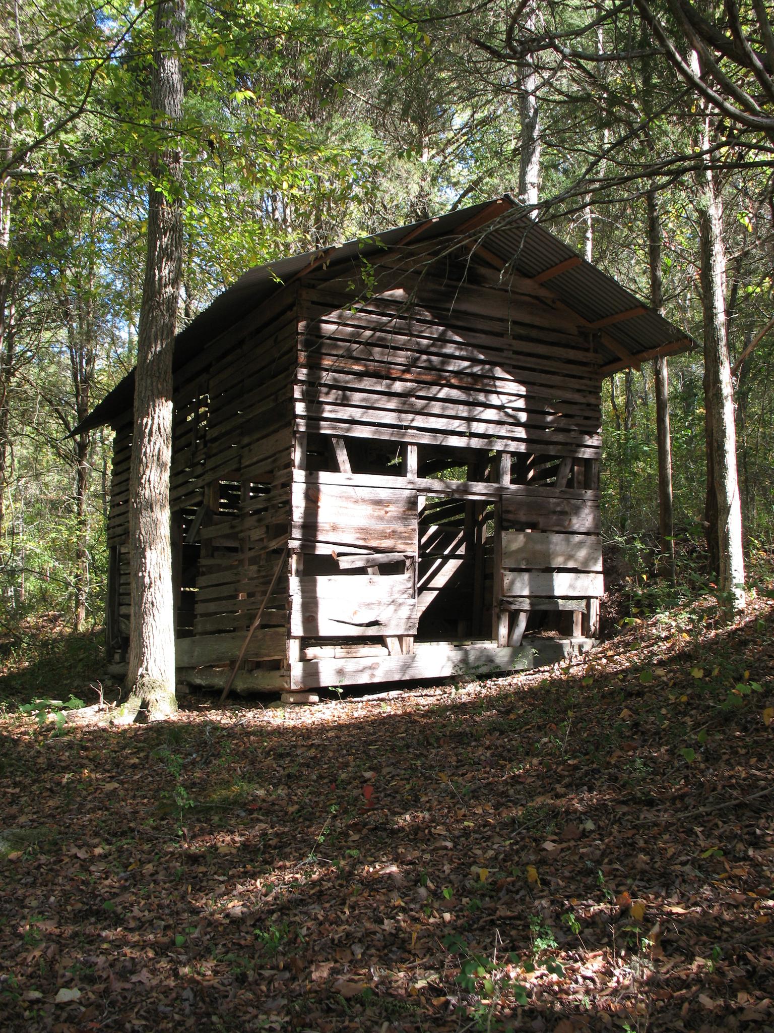 Weathered wooden structure with a tin roof in a sunlit, leafy forest.