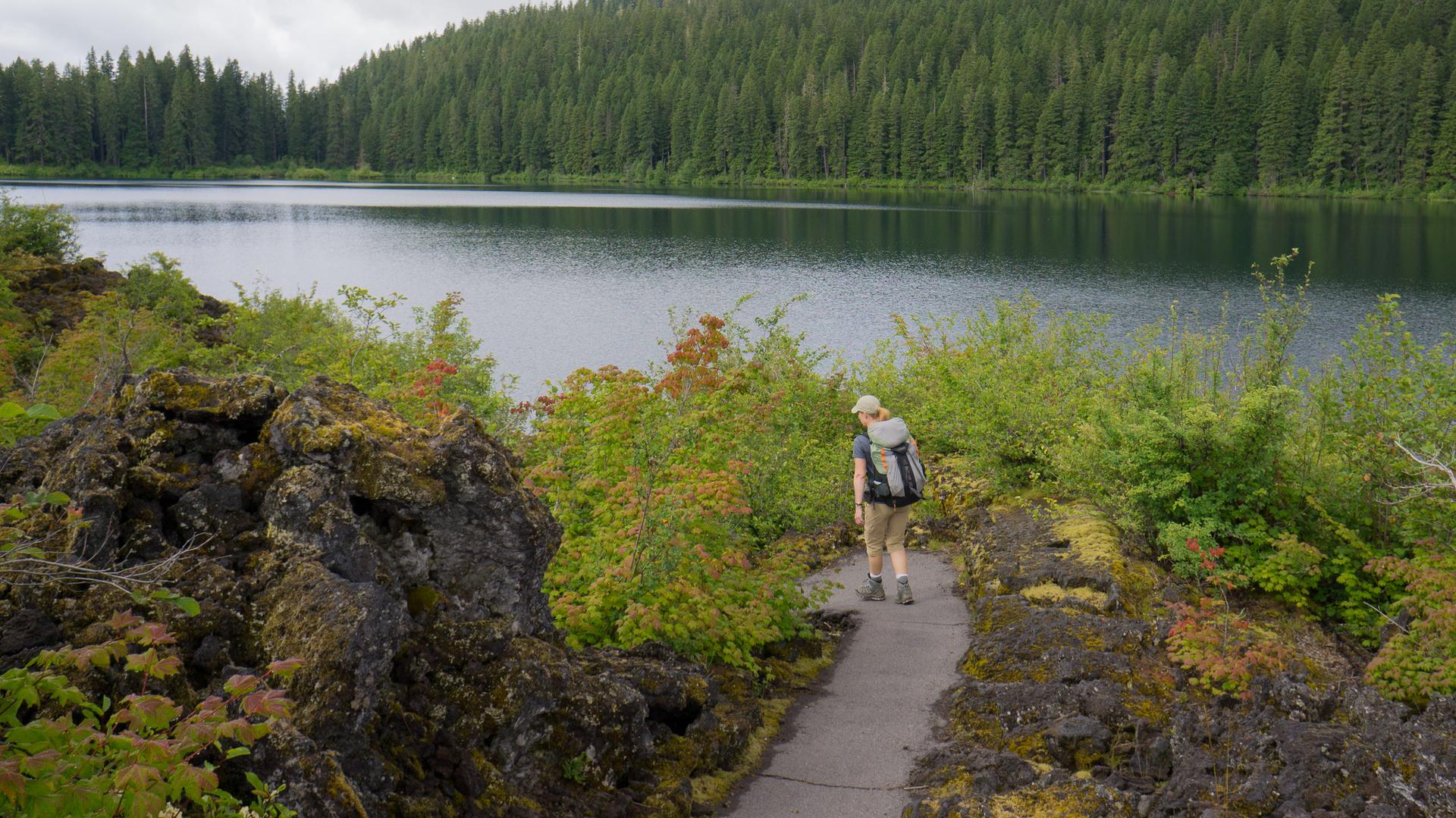Hiker walks on a path beside a calm lake, surrounded by forest.