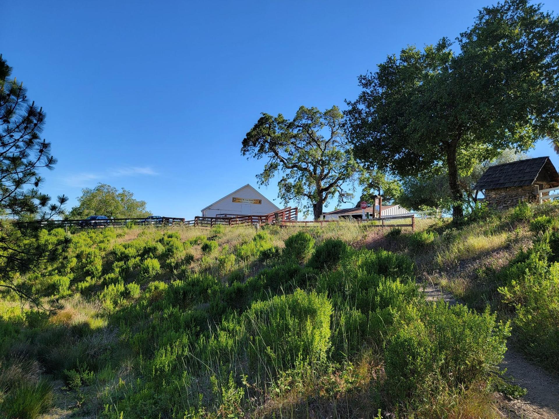 Distant buildings and trees on a sunny, grassy hillside under a clear blue sky.