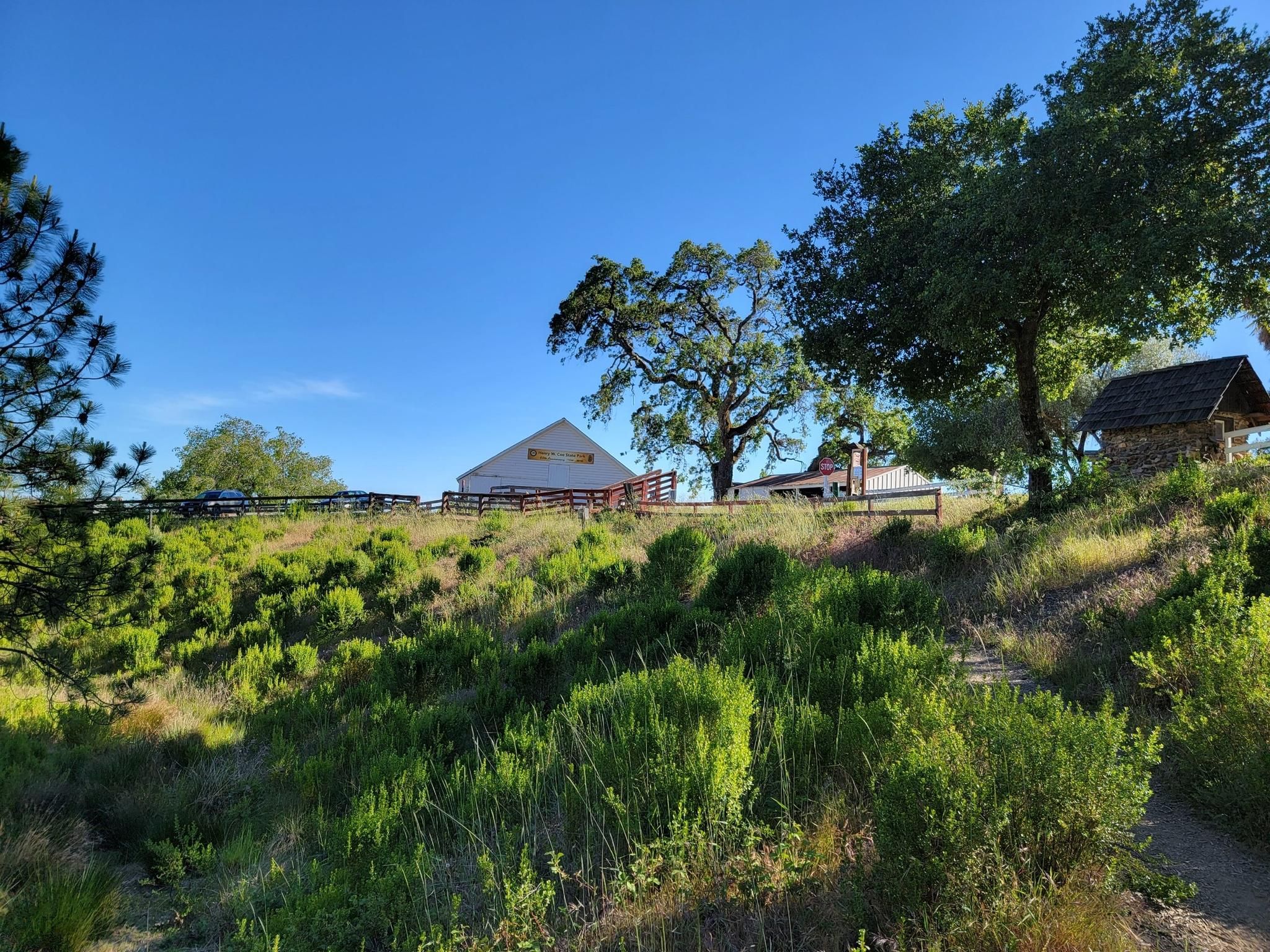 Distant buildings and trees on a sunny, grassy hillside under a clear blue sky. - Mississippi Lake loop from Coe Ranch
