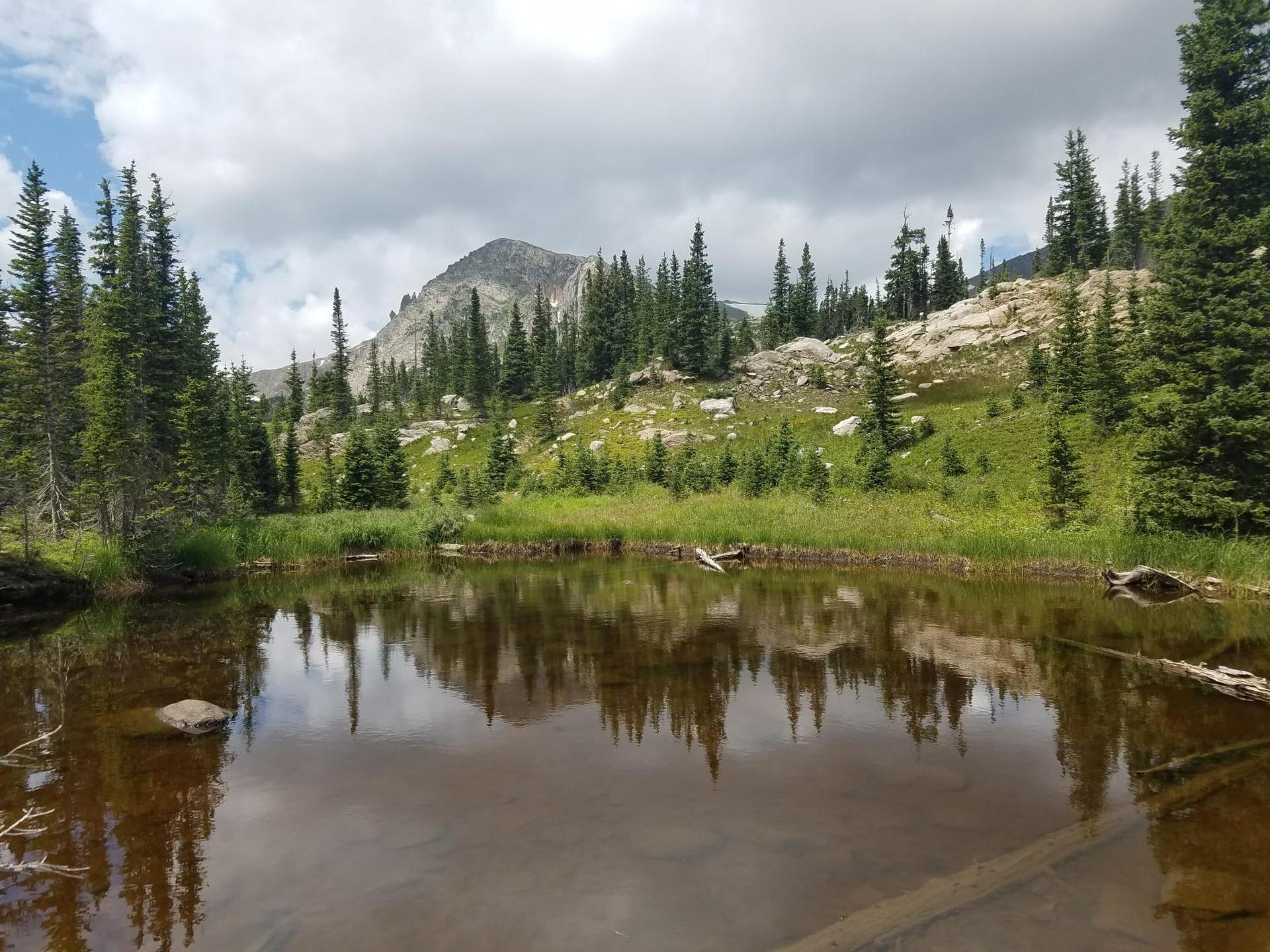 Cloudy day over an alpine pond reflecting pine trees and a distant mountain.