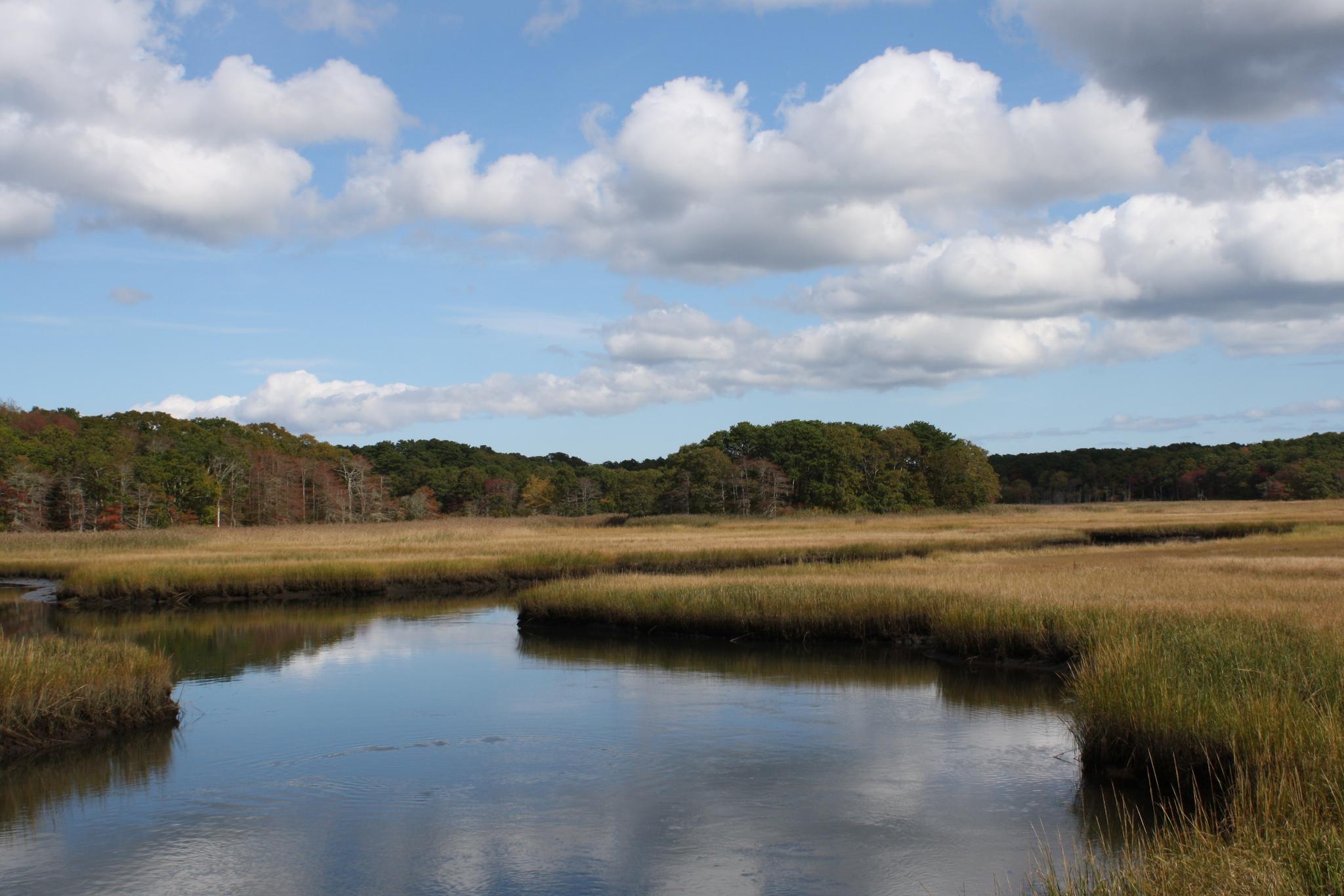 Winding river through golden marshland under a partly cloudy sky.