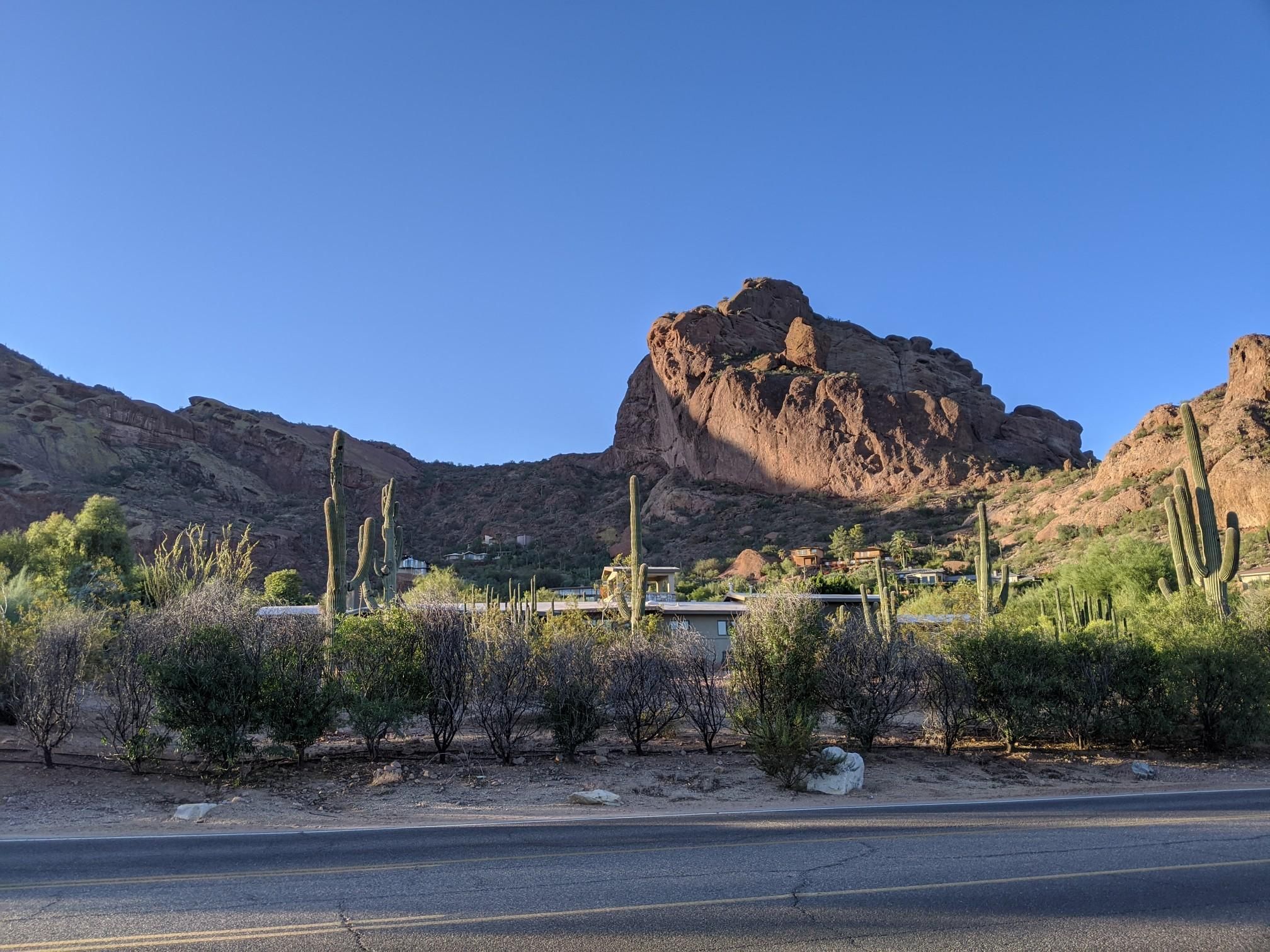 Rocky desert mountains, cacti, and shrubs under a clear blue sky. - Camelback Mountain loop