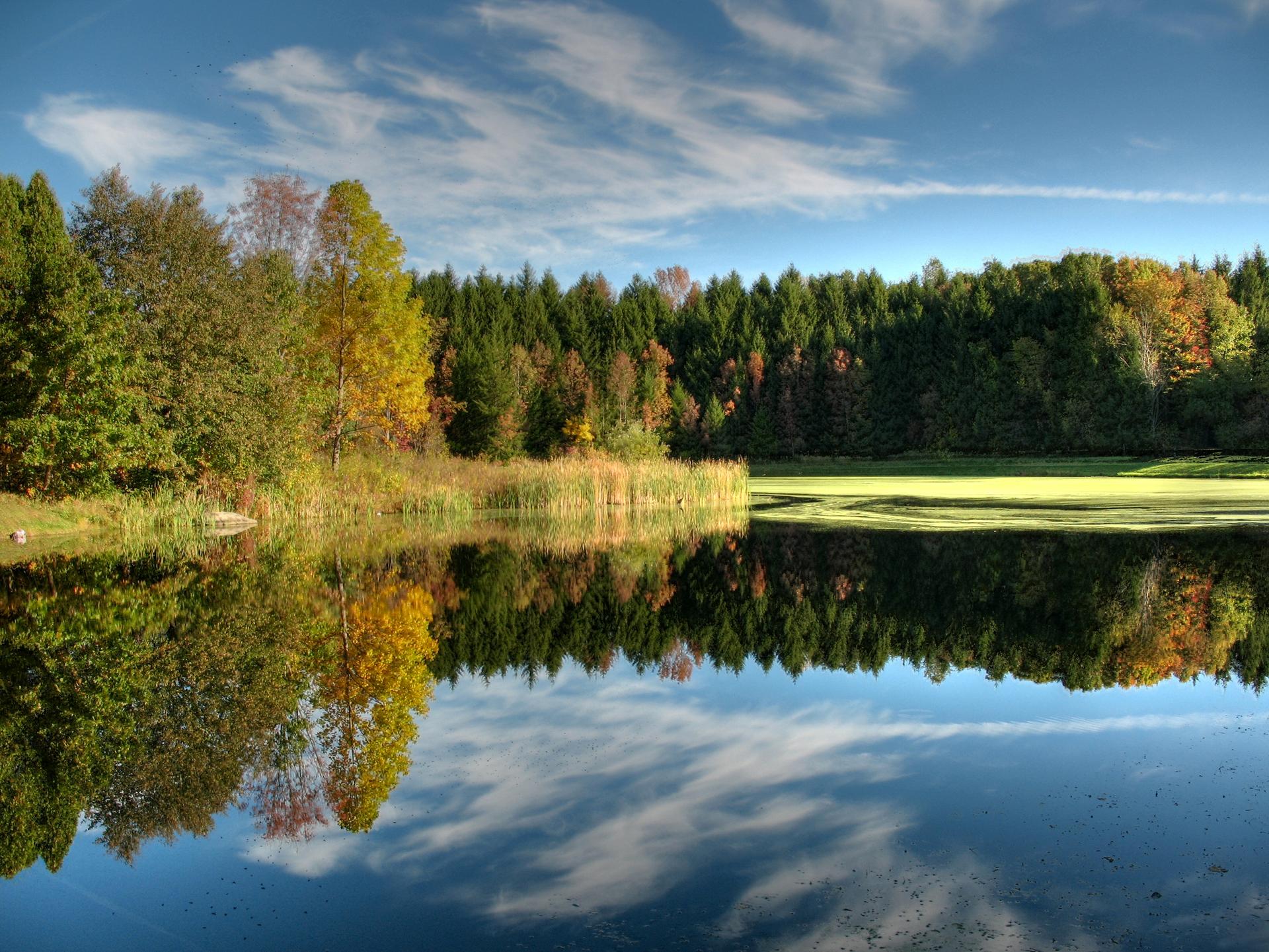 Calm lake reflecting colorful autumn trees under a bright blue sky.