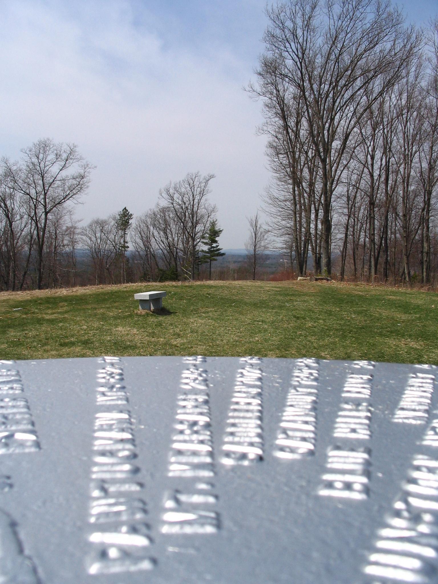 Close-up of textured metal with a grassy hill and bare trees beyond.