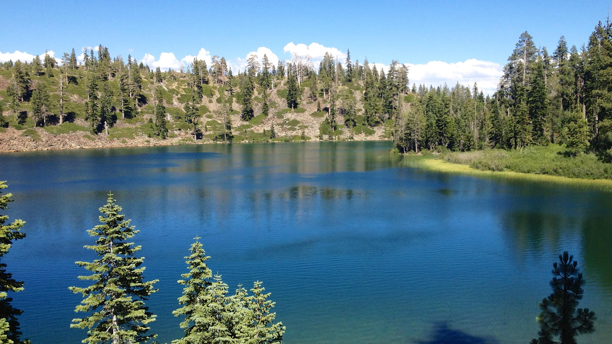 Serene blue lake reflecting green trees under a bright, sunny sky.