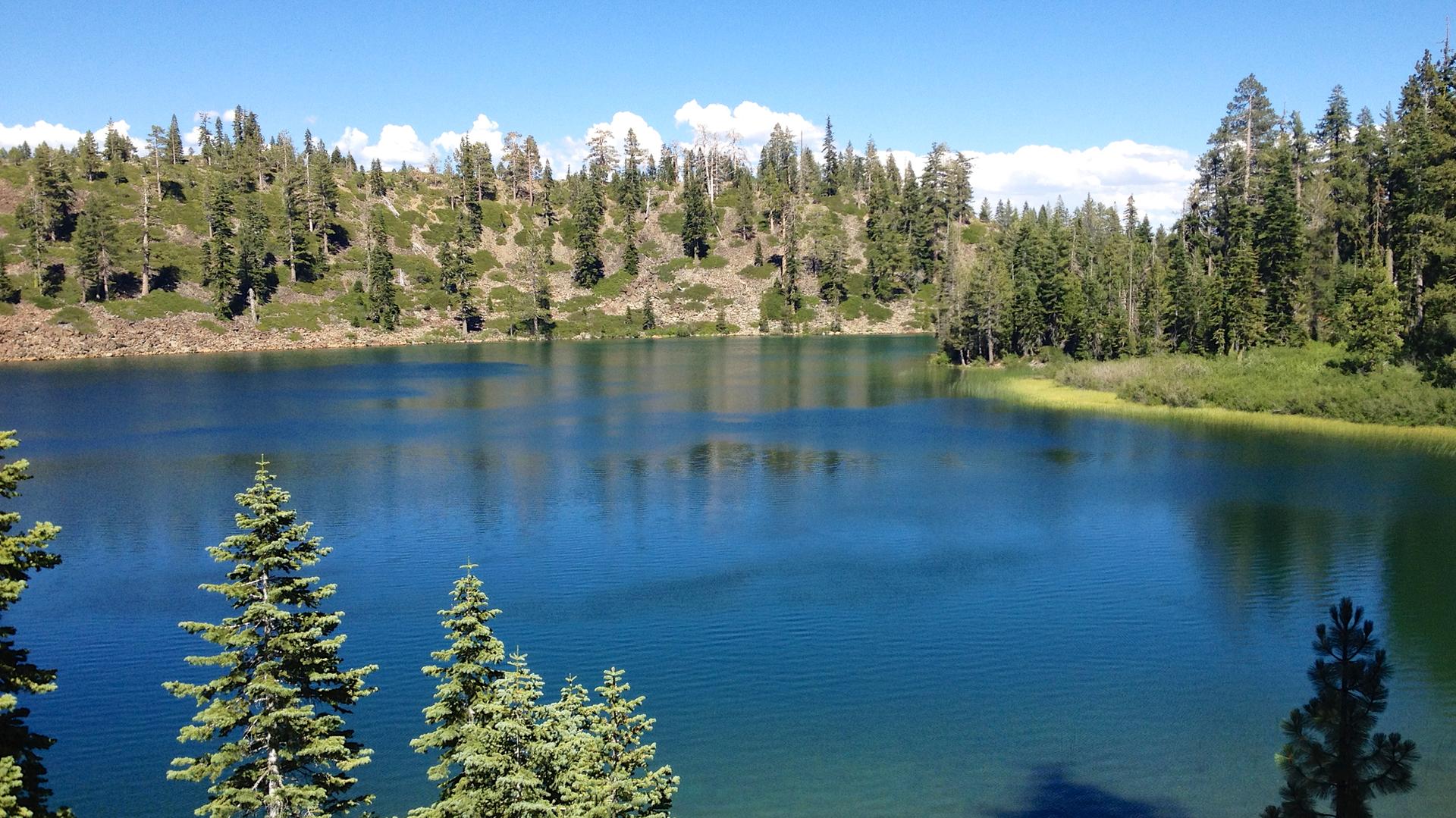 Serene blue lake reflecting green trees under a bright, sunny sky.