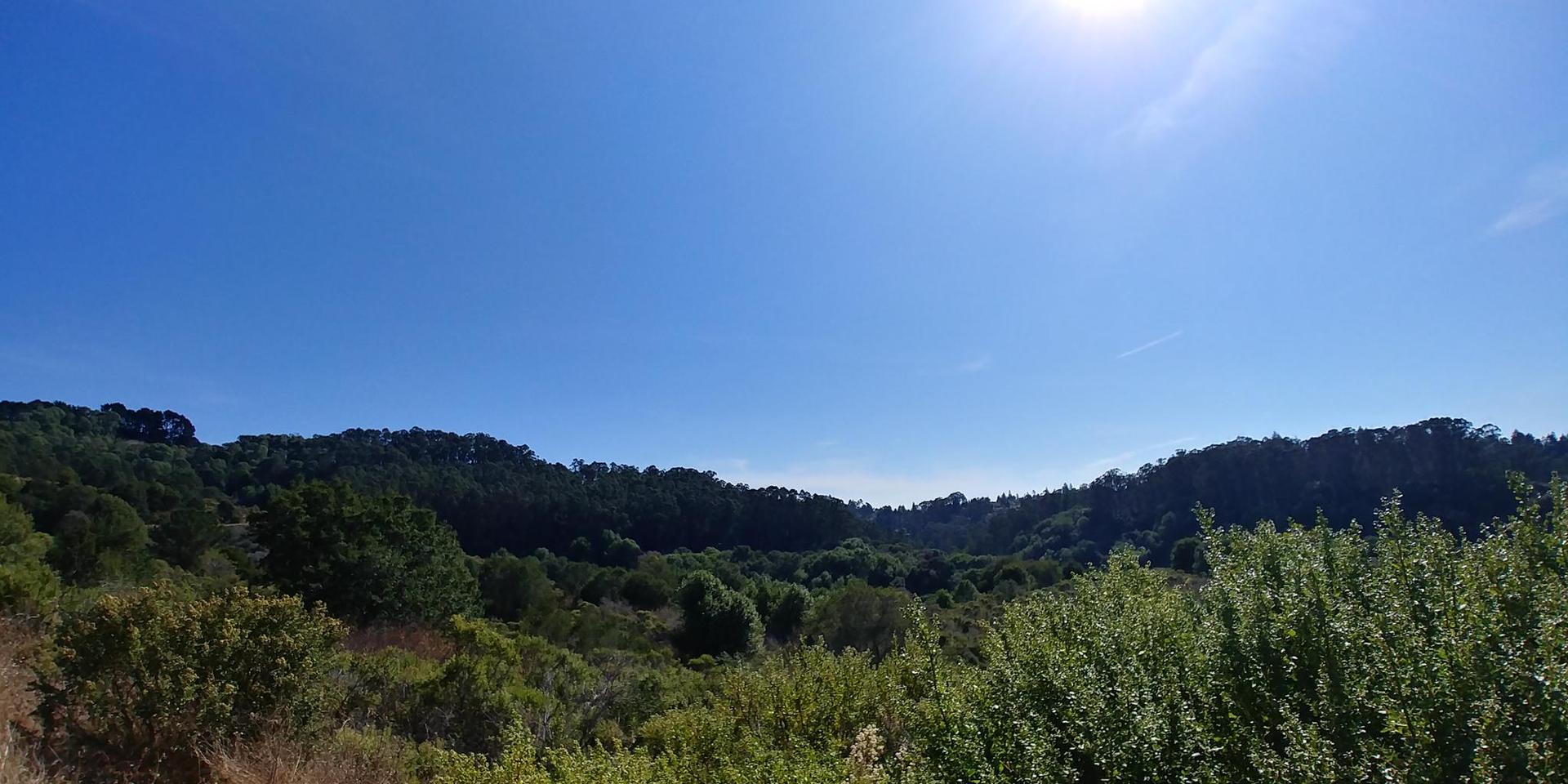A wide view of sunlit green hills under a clear blue sky.