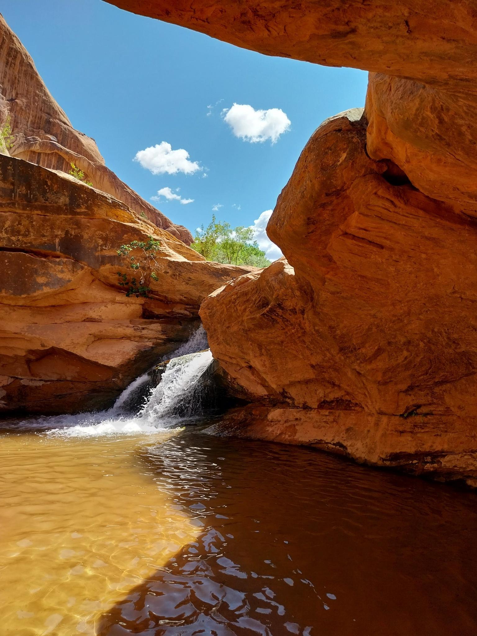 Waterfall cascades into a shaded pool surrounded by towering red rock canyon walls.