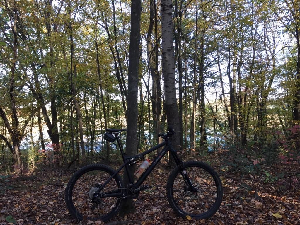 Black mountain bike parked on a leafy forest floor near water. - Pontiac Lake Recreation Area Mountain Bike Trail