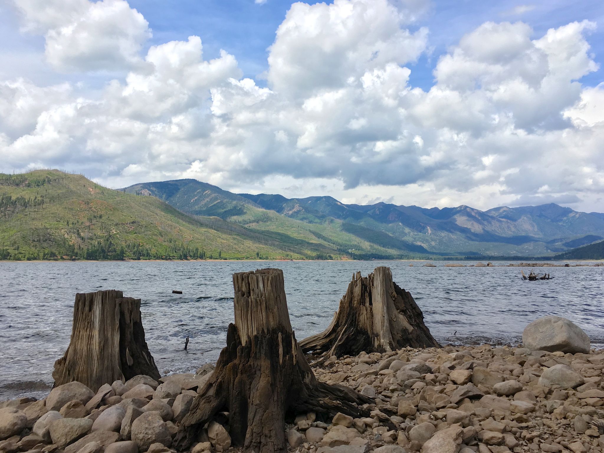 Three large tree stumps in a rocky lake with distant mountains under clouds. - Vallecito Reservoir loop gravel