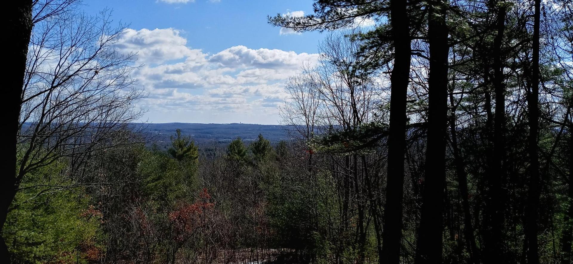 Sunny forest view overlooking distant hills under a blue sky with clouds.