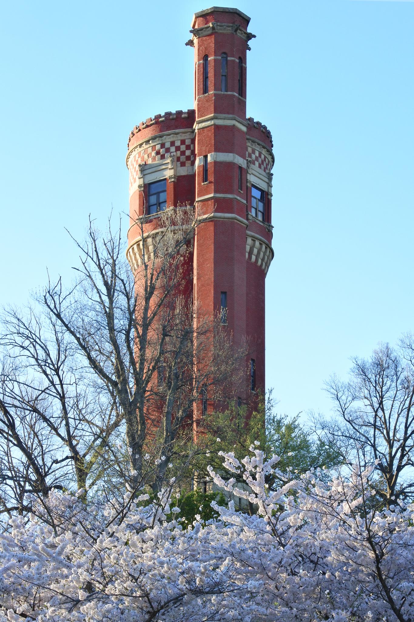 Tall red brick tower rises above white blossoming trees on a sunny day.