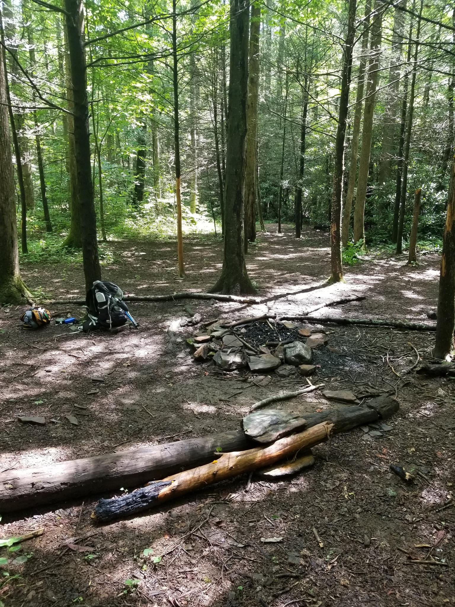 A forest campsite with a stone fire pit and backpack under dappled sunlight.