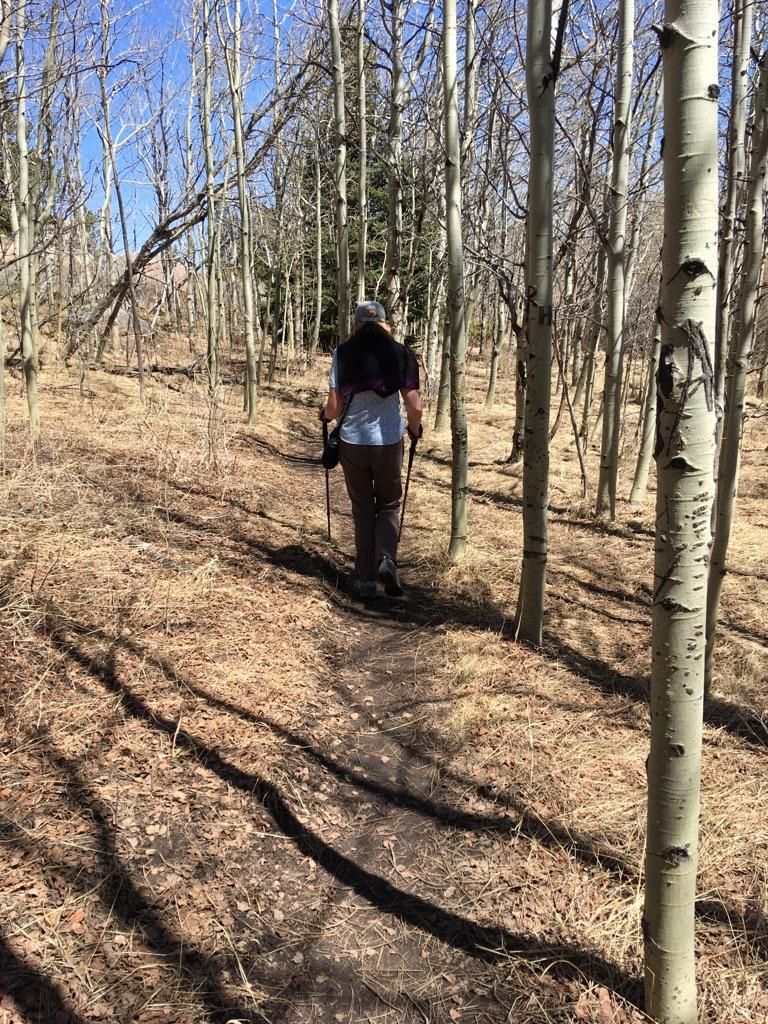 Hiker with poles on a dirt path through a sunlit aspen forest. - Turtle Rock Loop Trail
