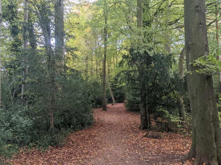 Long Wood Routes for Walking and Hiking | Komoot