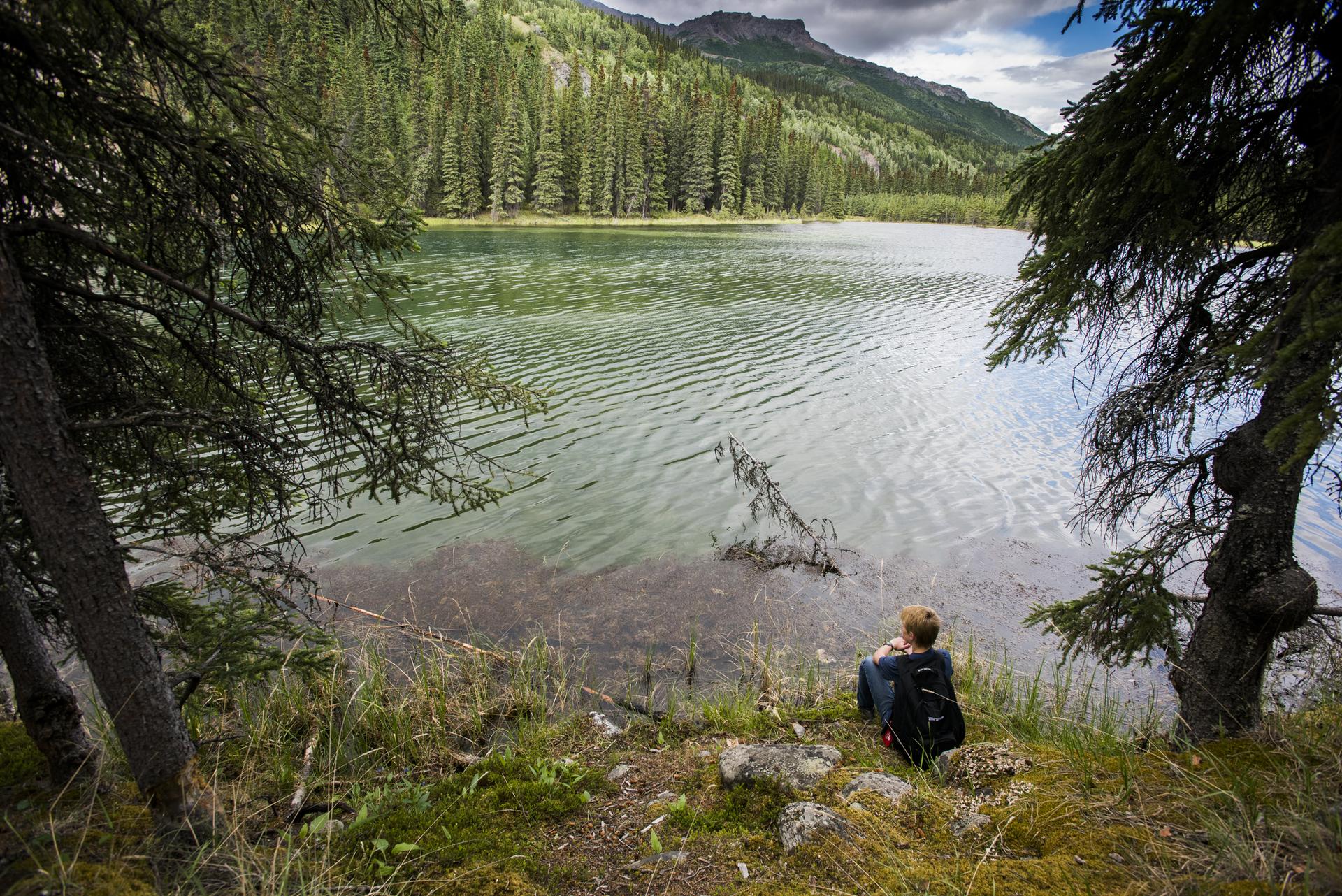 Person with backpack sits by a calm lake, framed by evergreen trees.