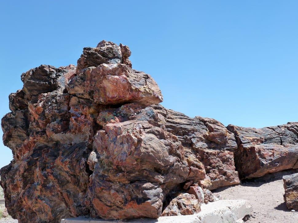 Close-up of large, colorful petrified wood logs under a clear blue sky.
