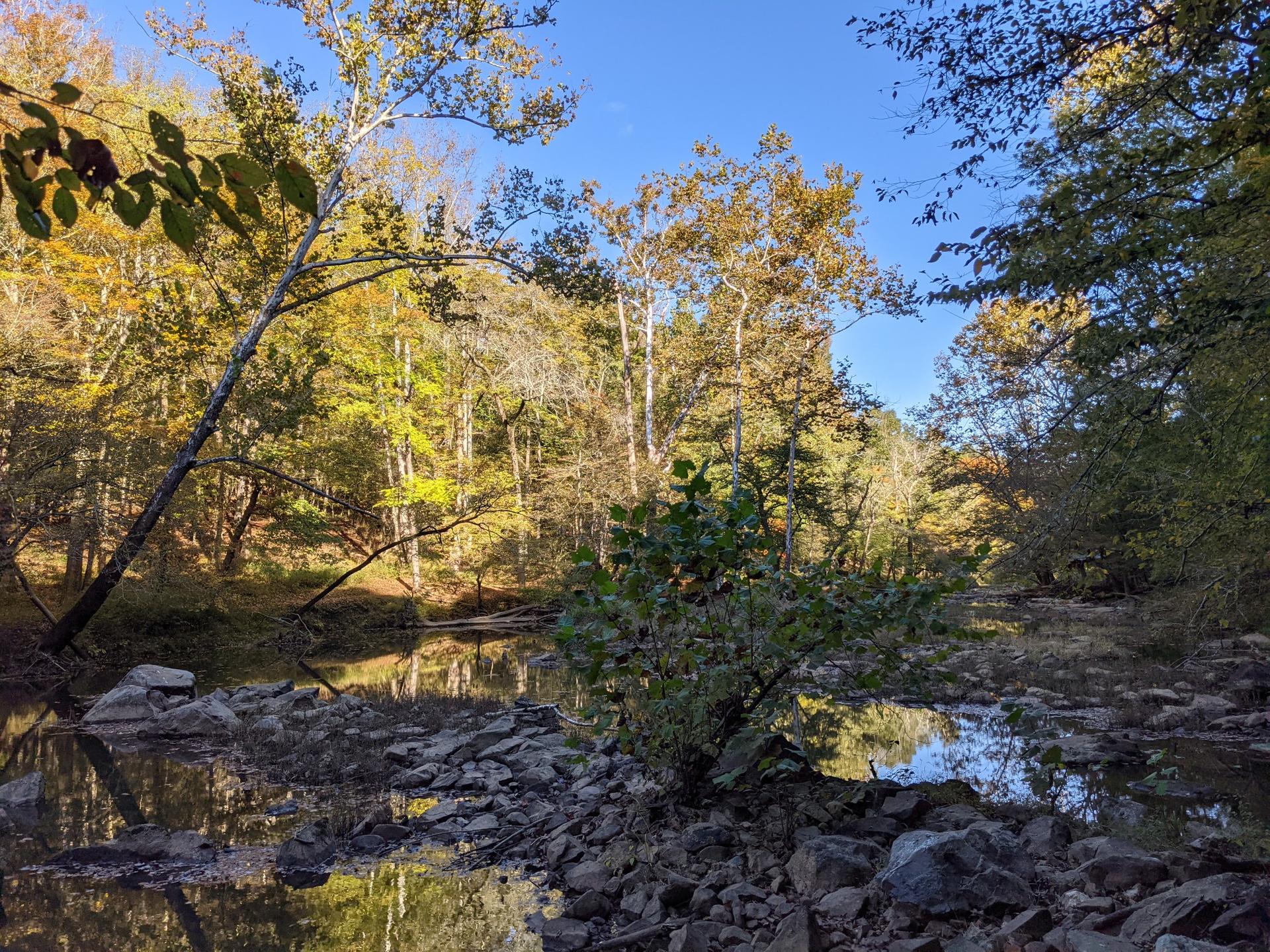 A rocky riverbed with autumn trees and bright sunlight filtering through.