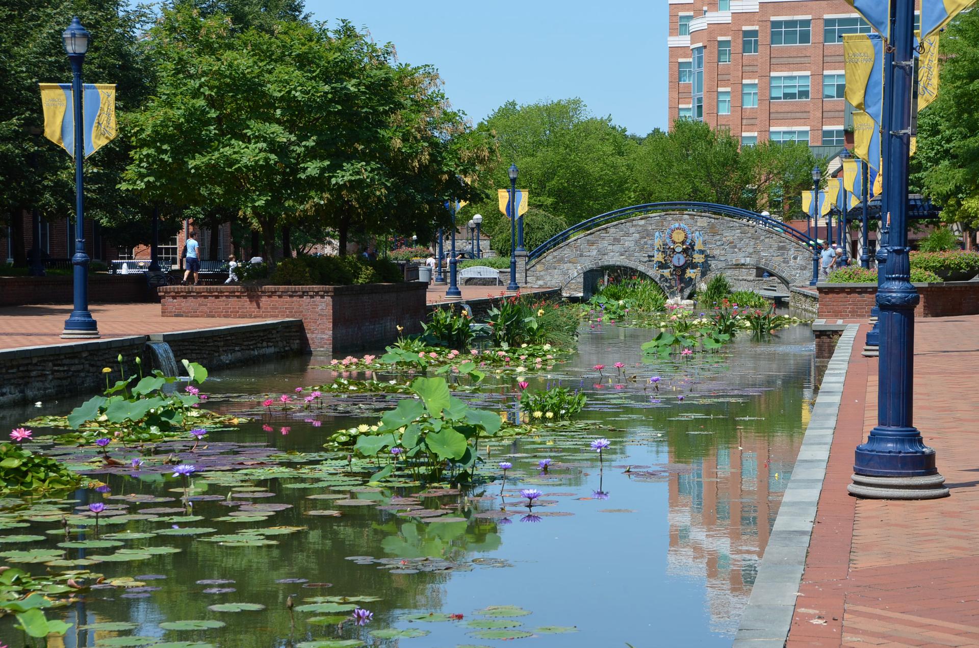 A canal with lily pads flows under a stone bridge on a sunny day.