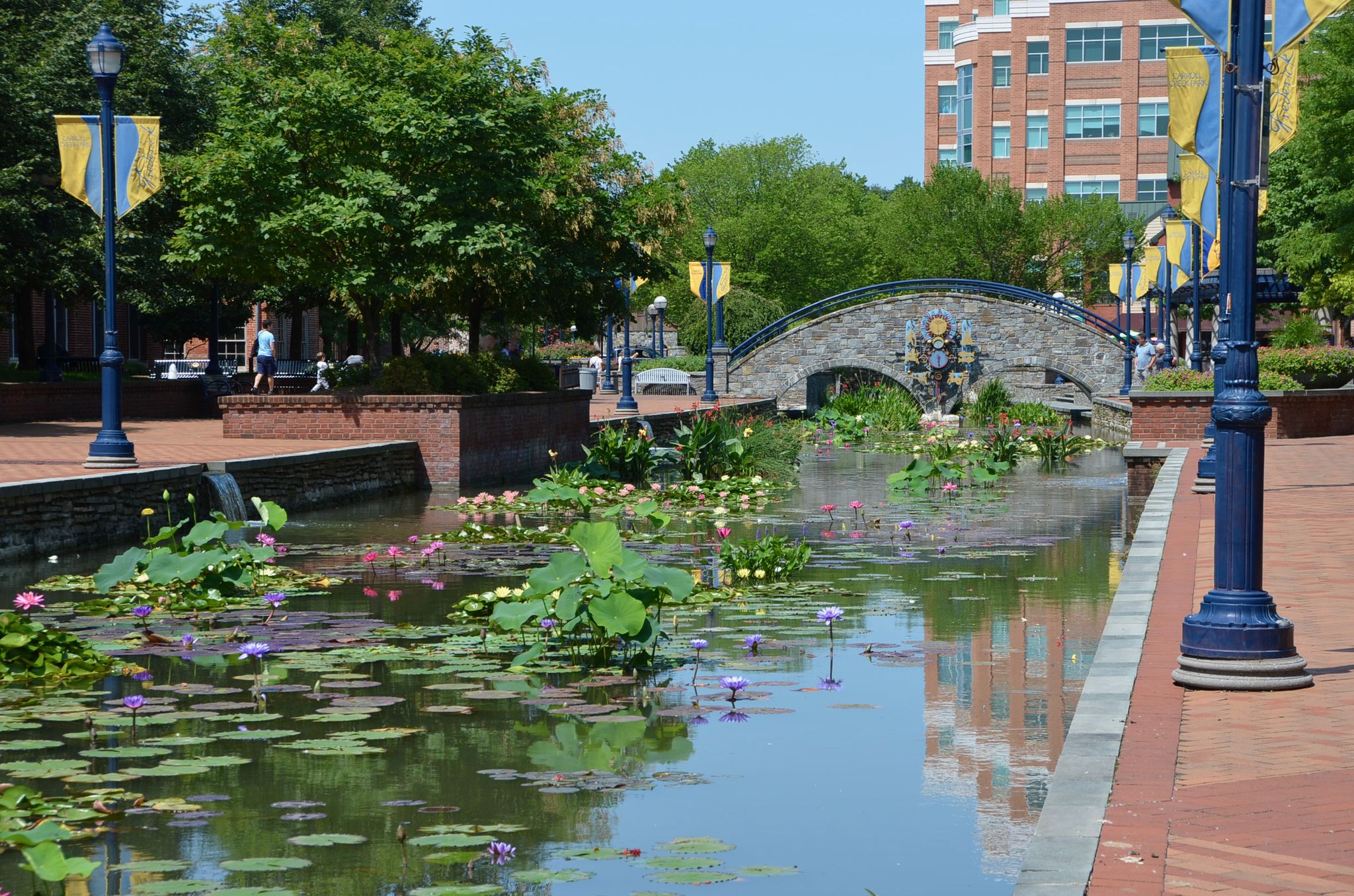 A canal with lily pads flows under a stone bridge on a sunny day. - Campaign Ride