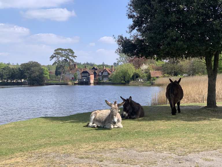 Brockenhurst Gravel loop from Beaulieu — New Forest National Park bike Tour Komoot