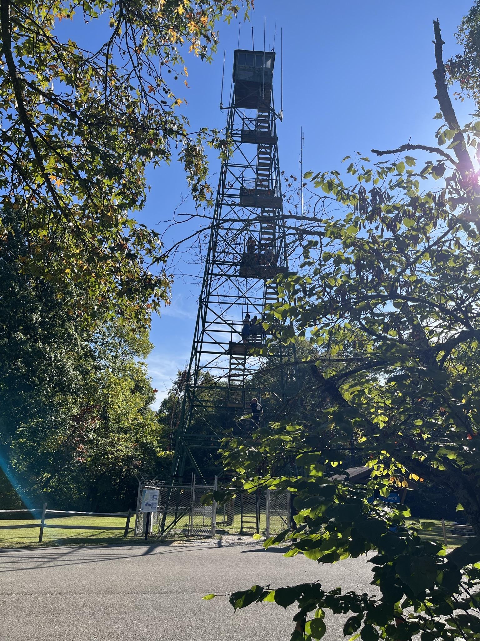 People ascend a tall metal observation tower amidst green trees, bright sun.