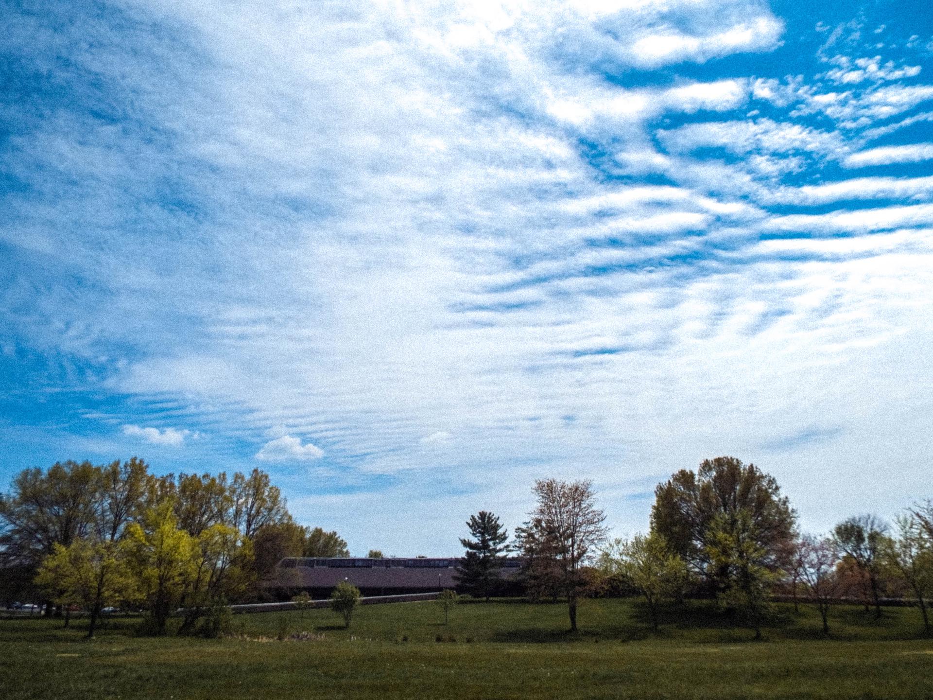 Green field and trees under a bright blue sky with wispy clouds.