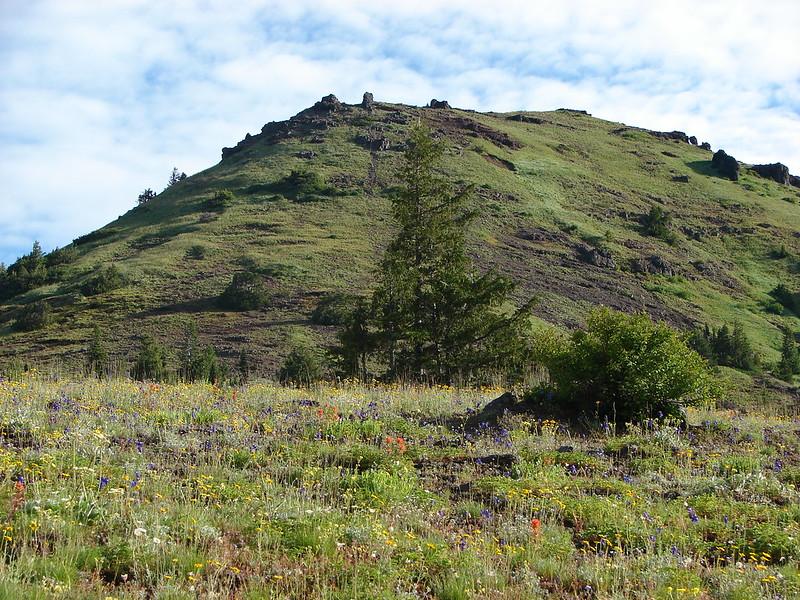 A vibrant green, rocky hill covered in wildflowers under a partly cloudy sky.