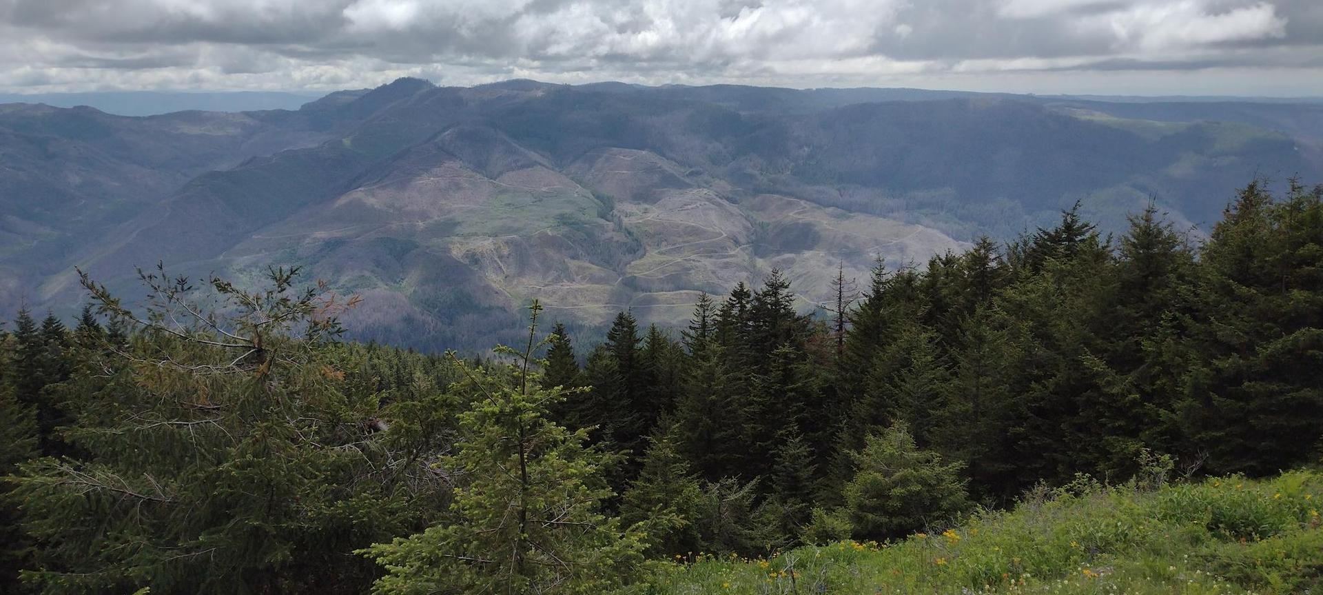 Panoramic view of distant forested mountains under a cloudy sky.